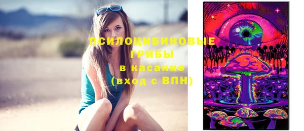 дживик Иннополис