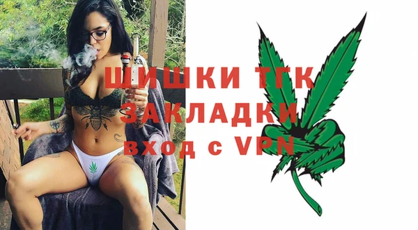 дживик Иннополис