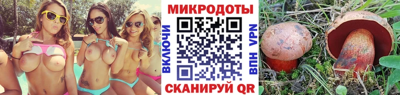 наркота  Щёлково  Псилоцибиновые грибы мухоморы 